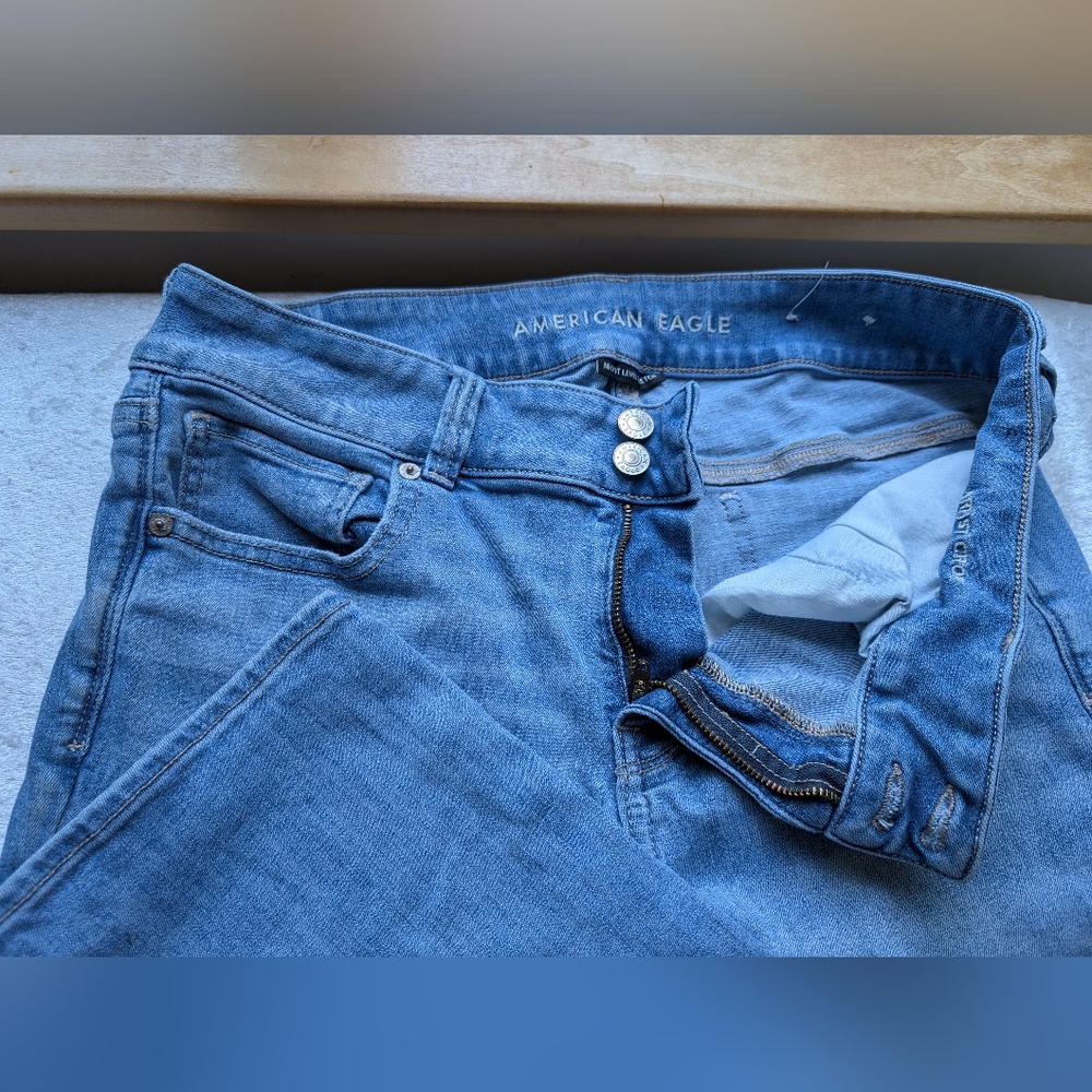 American Eagle Artist Crop 14 - Picture 5 of 14